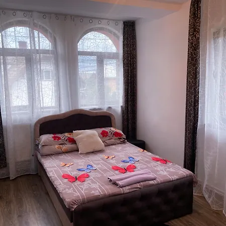 Casa Raraului Homestay