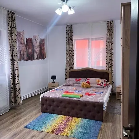 Casa Raraului * Campulung Moldovenesc