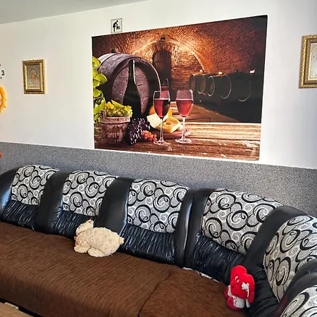 Homestay Casa Raraului *