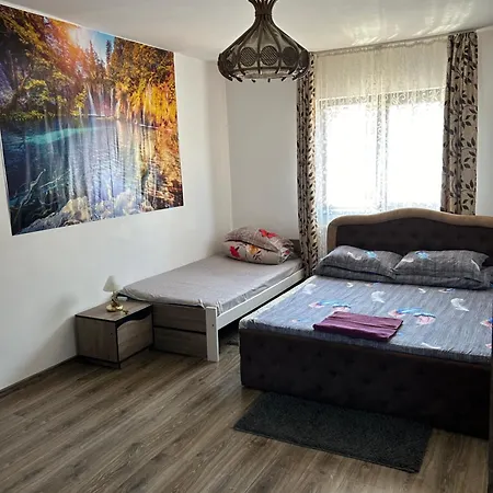 Casa Raraului Homestay *